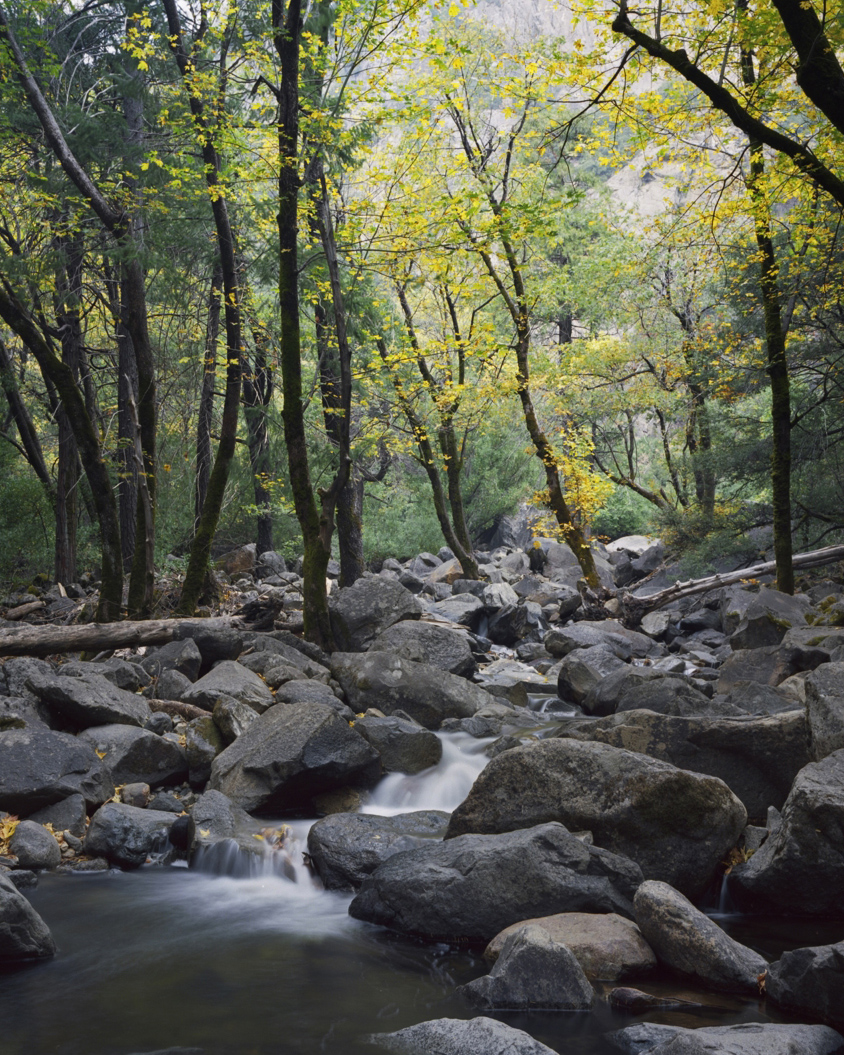 M7ekep_171018_106_C2w.jpg