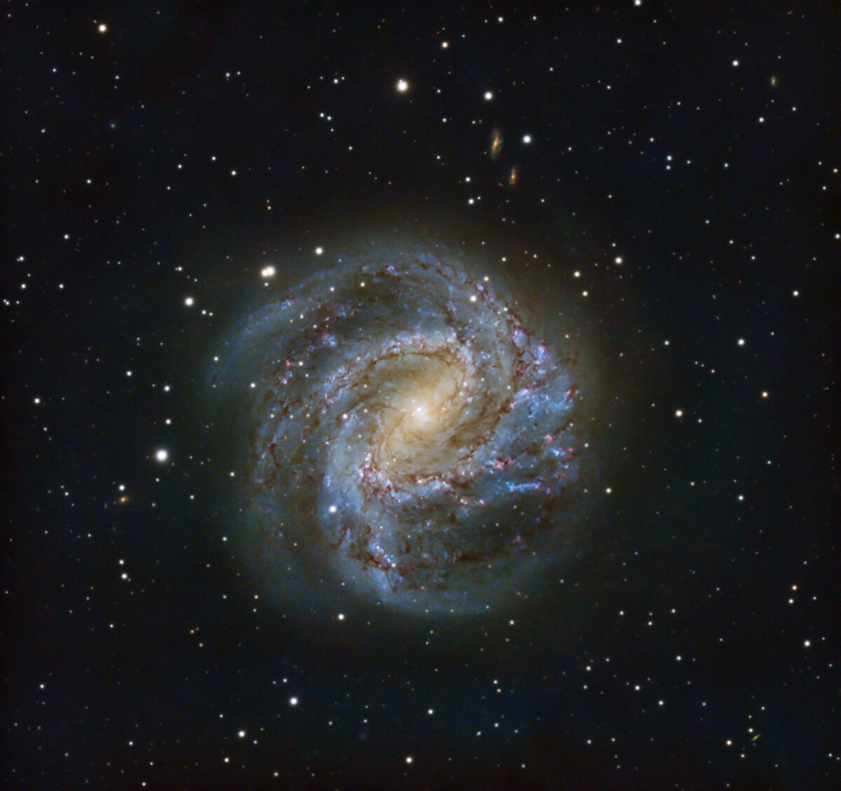M83 Combi 2-LargeJPEG.jpg