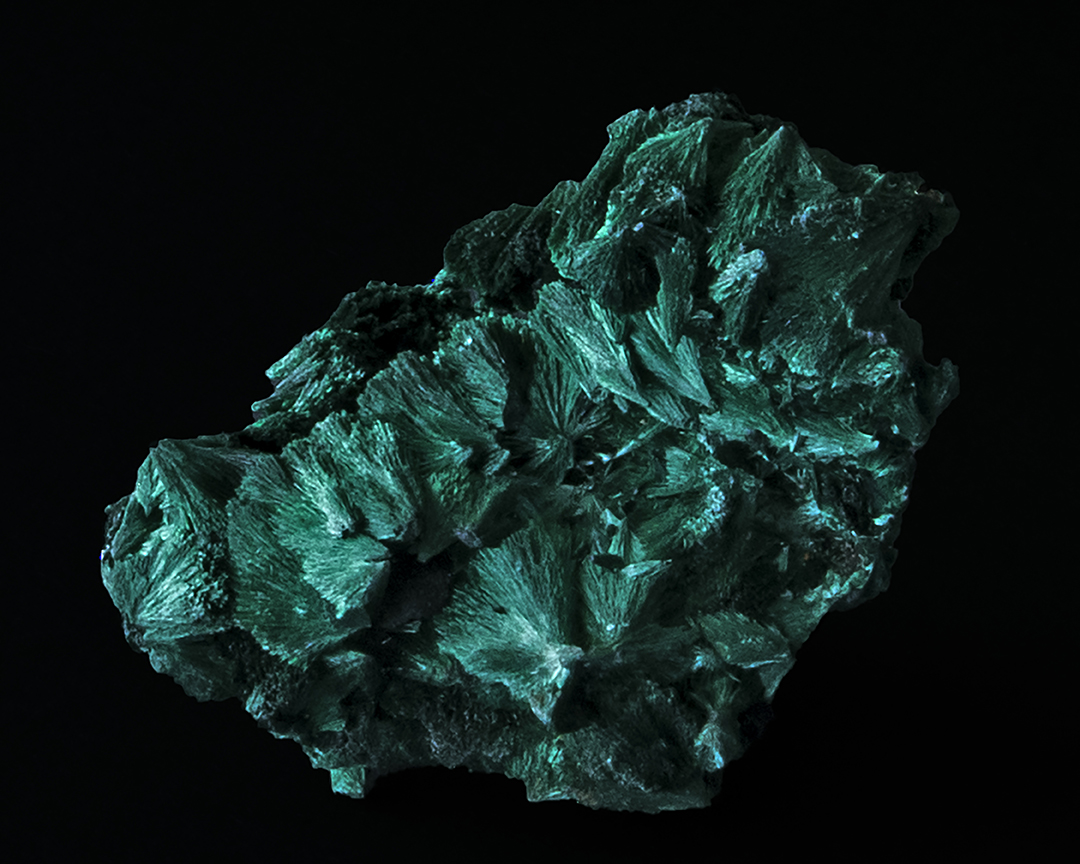 Malachite from Bisbee, AZ.jpg