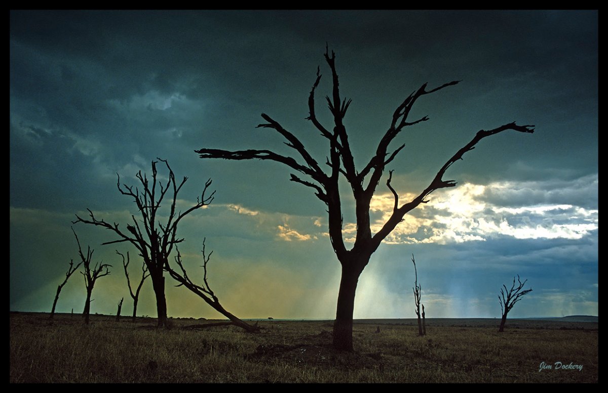 Masai-Mara-(14)-copy.jpg