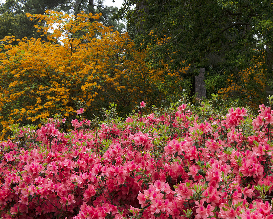 Masters(YYYY)»}-66.jpg