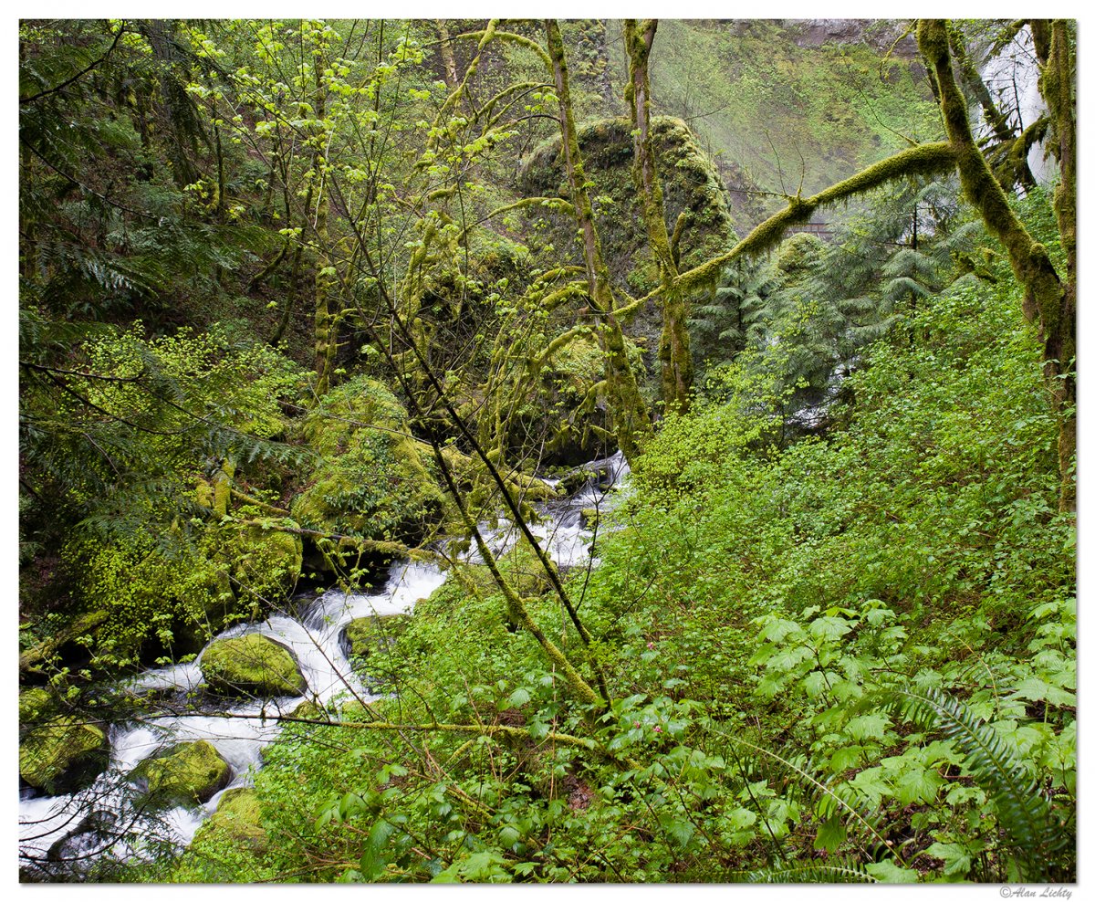 McCordCreek.jpg
