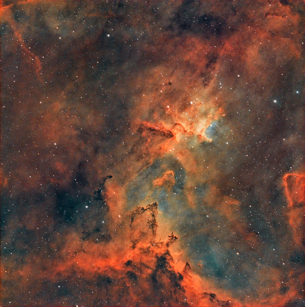 Melotte 15 3a_3964x4000_H_140_Long Edge.jpg
