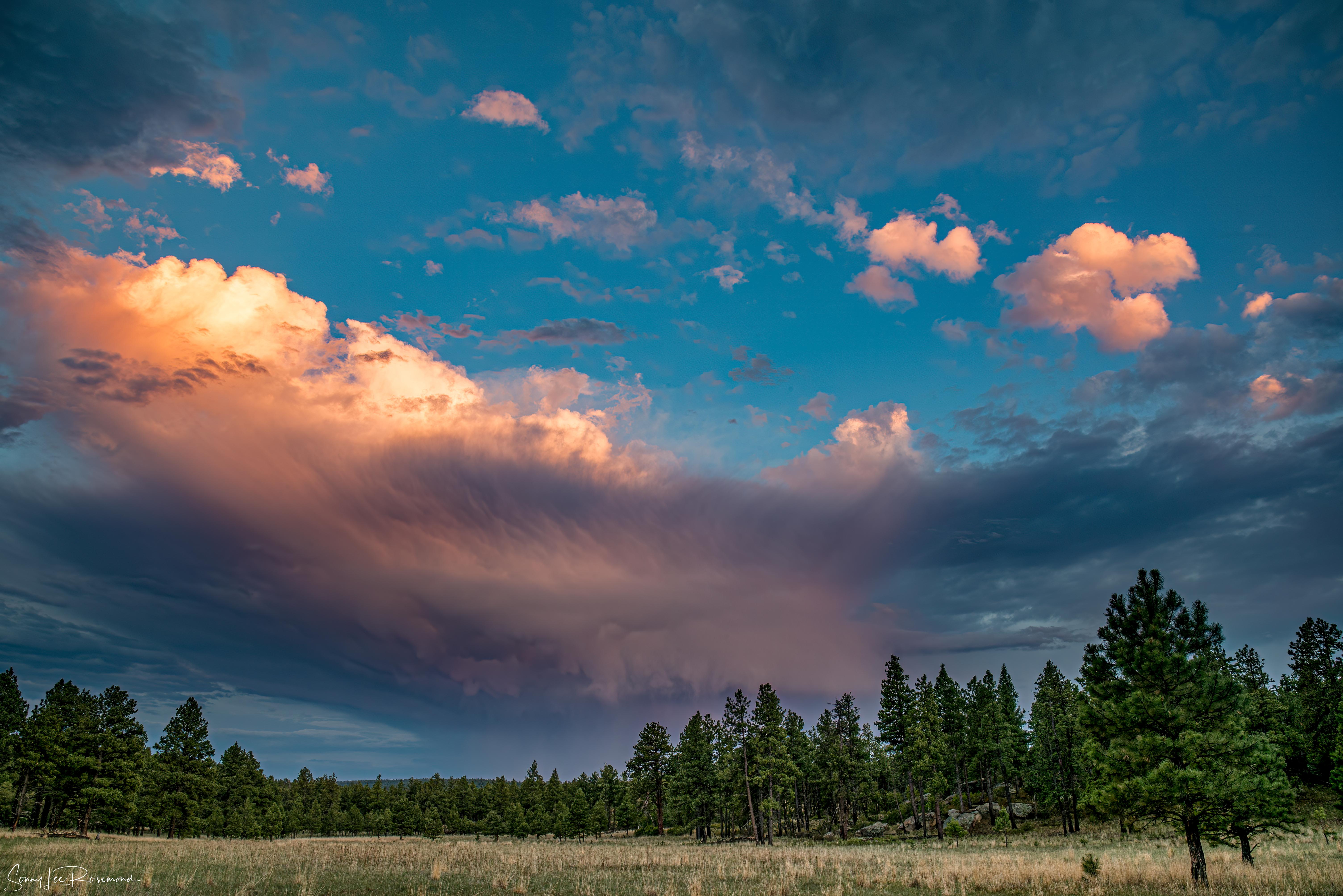 Monsoon_Evening-1.jpg