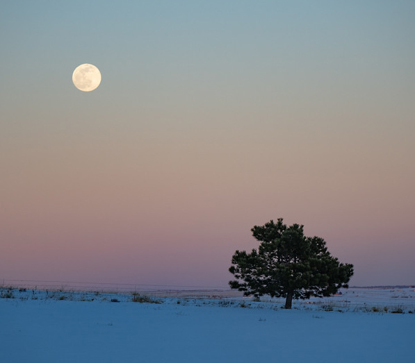 Moonshine.jpg