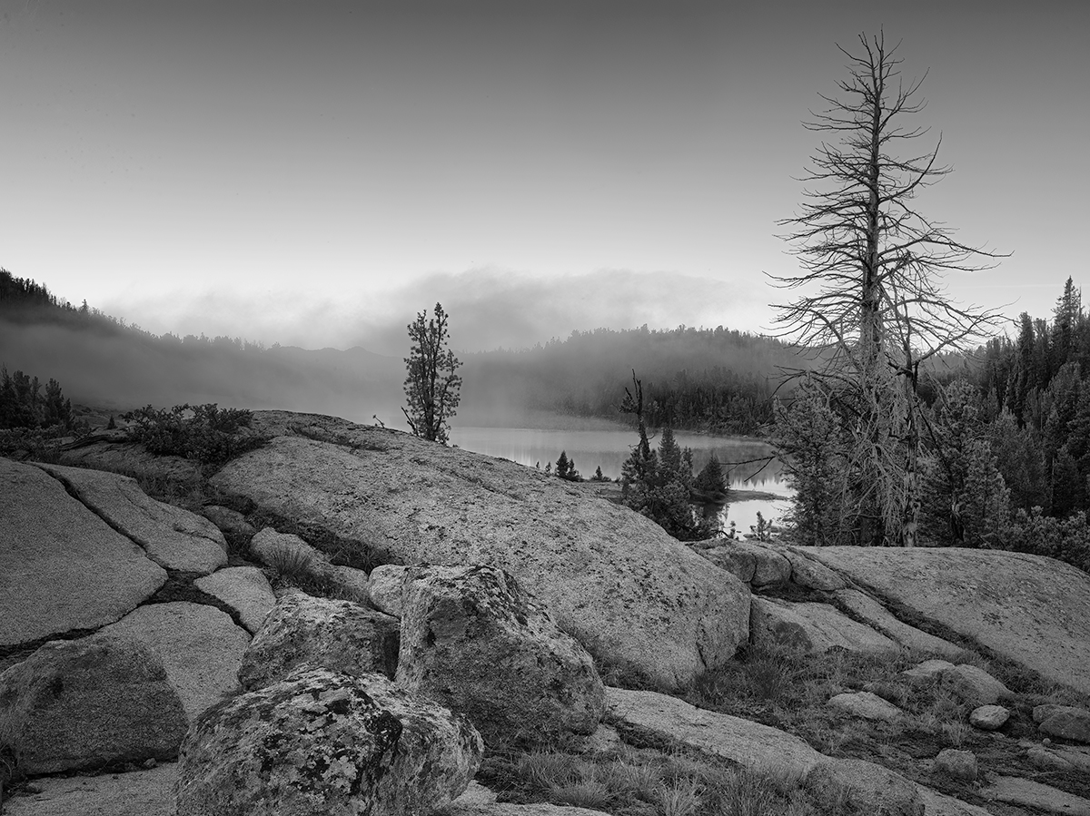 Morning-FogDustSharpBWLighter.jpg