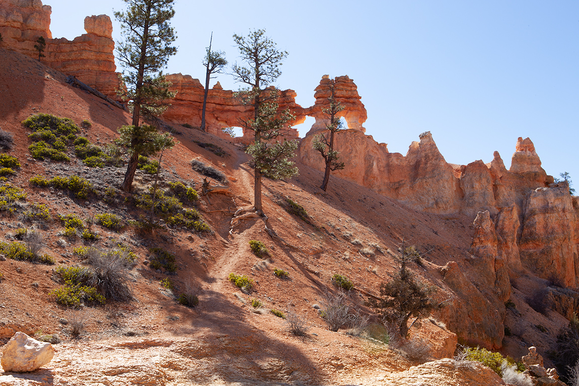 MossyCaveTrail4-orig.jpg