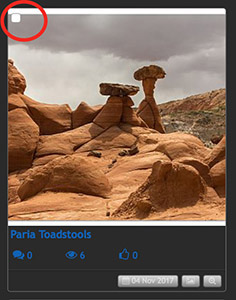 Move1.jpg