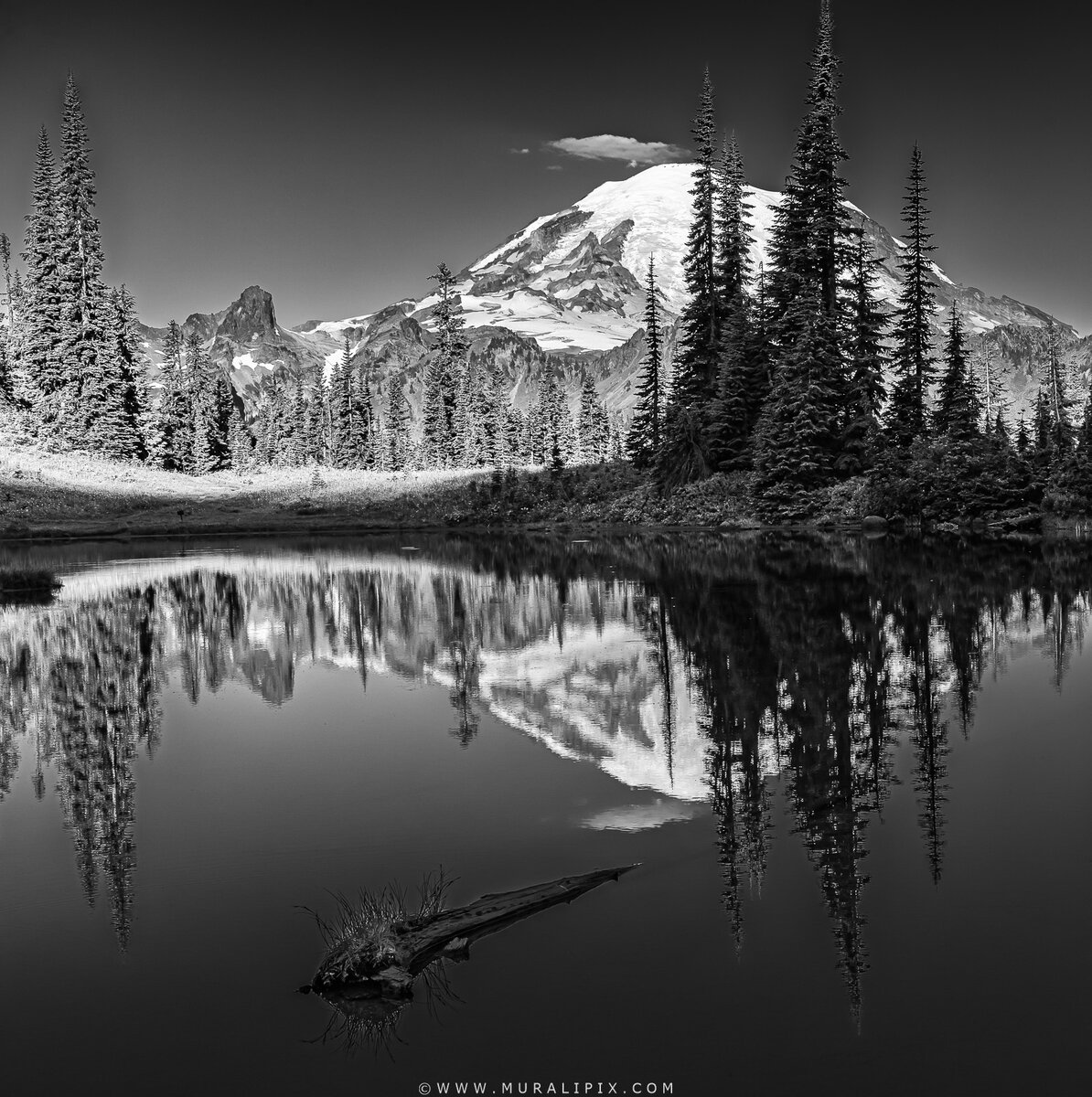 Mt Rainier @ Little Tipsoo Lake B&W.jpg