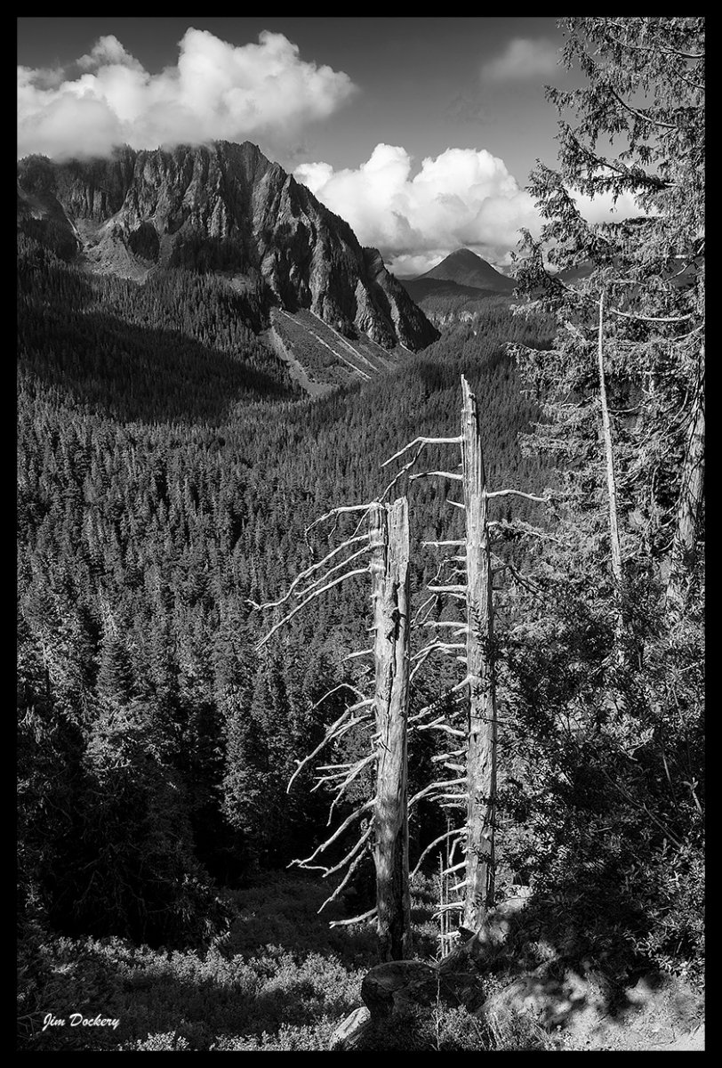 Mt.-Rainier-Paradise-8.19-37.jpg