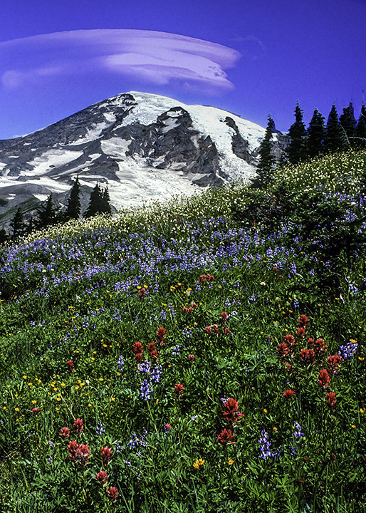 Mt. Rainier with Lenticular Cloud.jpg