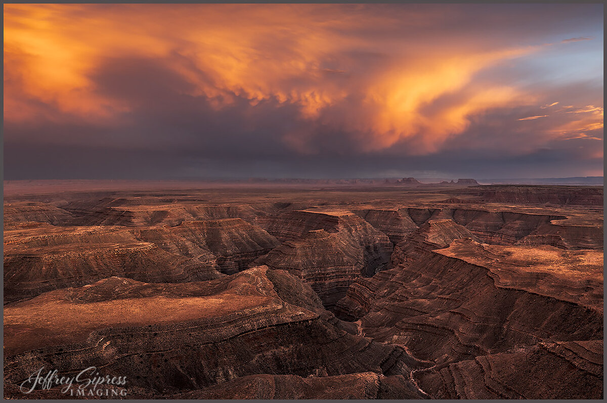 muleypano5.jpg