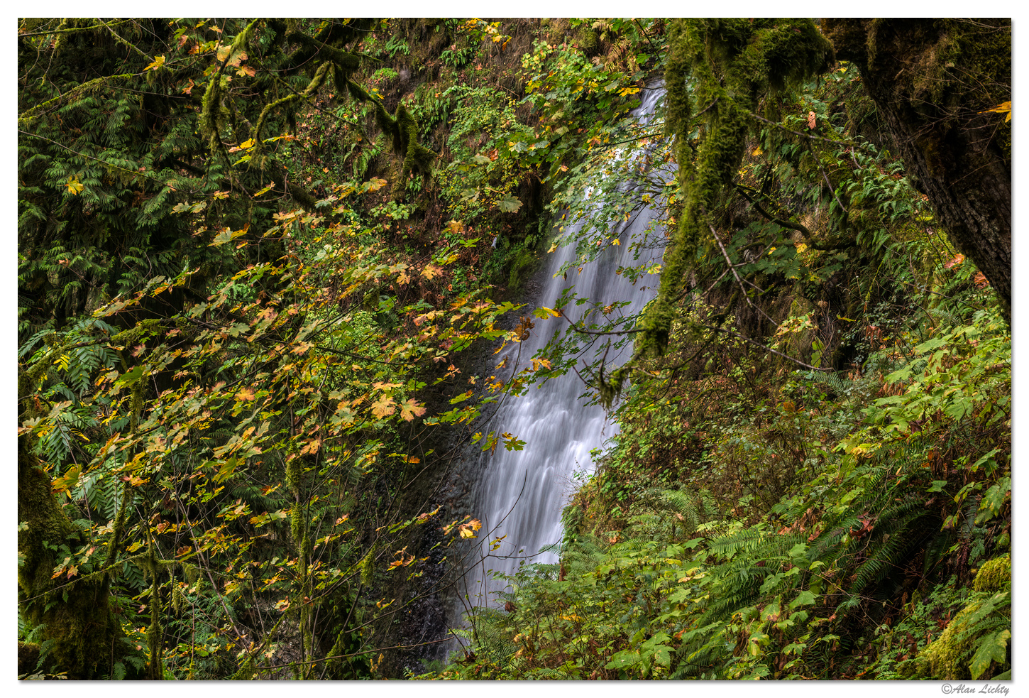 MultnomahSideShot.jpg