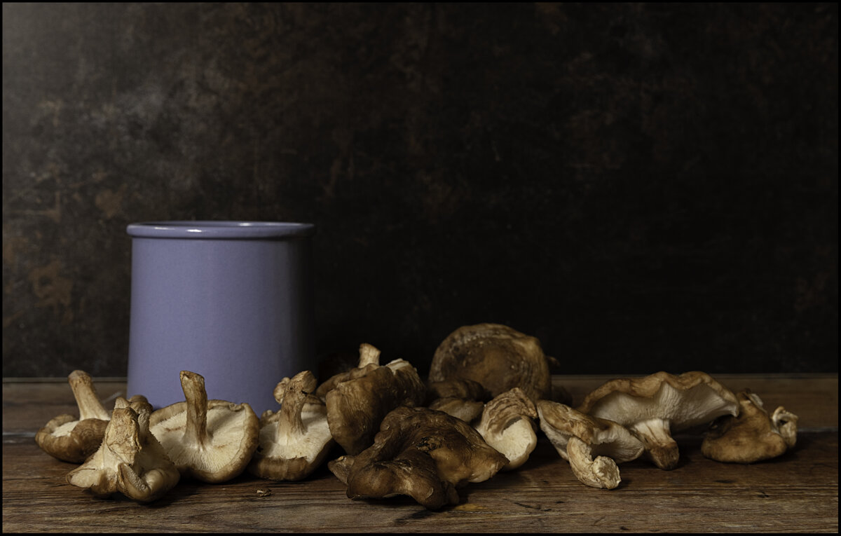 mushrooms3.jpg