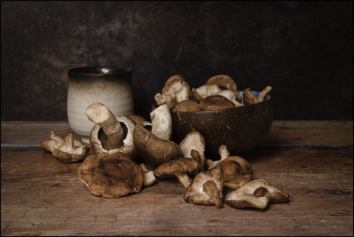 mushrooms5.jpg