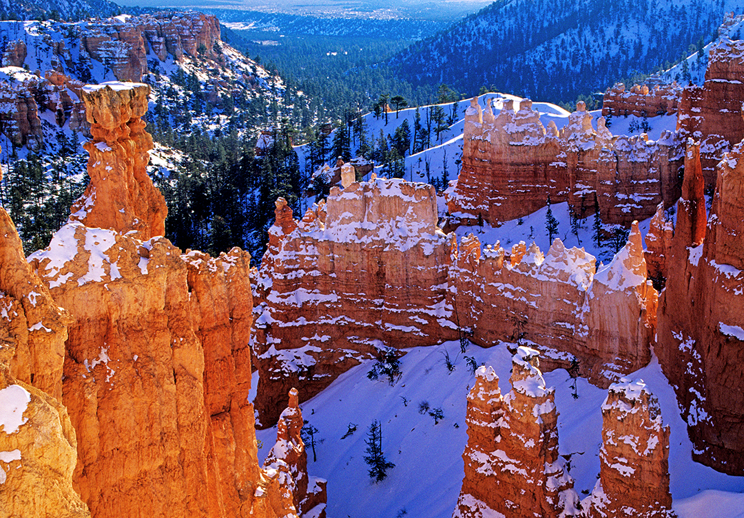 Navajo trail final.jpg