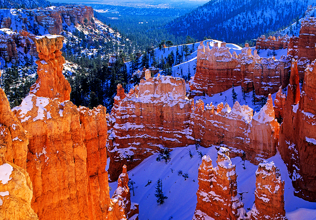 Navajo trail final.jpg
