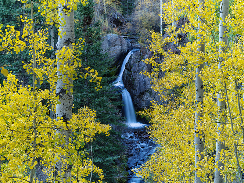 Nellie-Creek-Fall.jpg