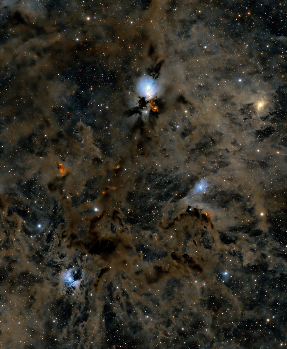 NGC1333 Region-FB.jpg