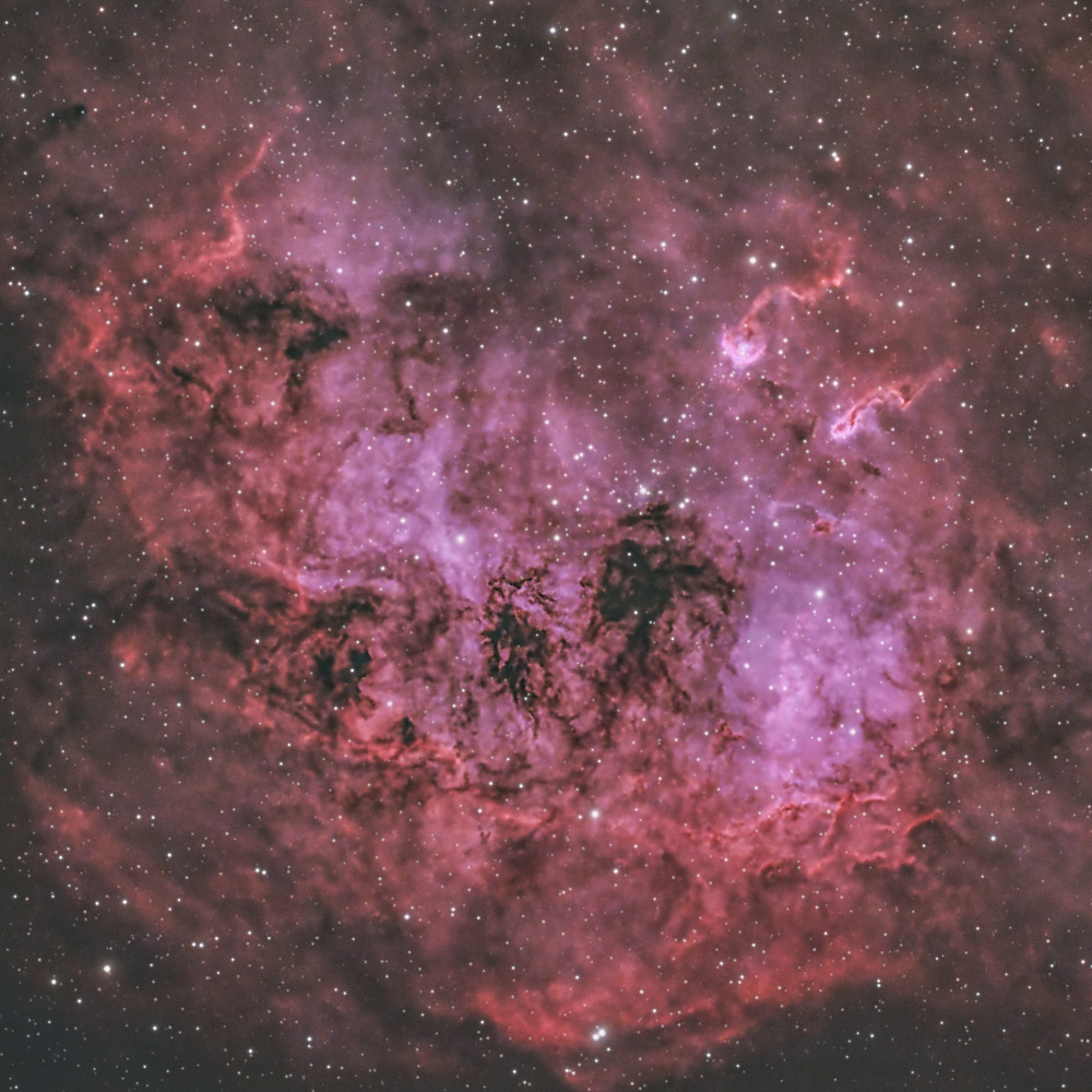 NGC1893_IC410_TadpoleNebula_20230220_d1w.jpg