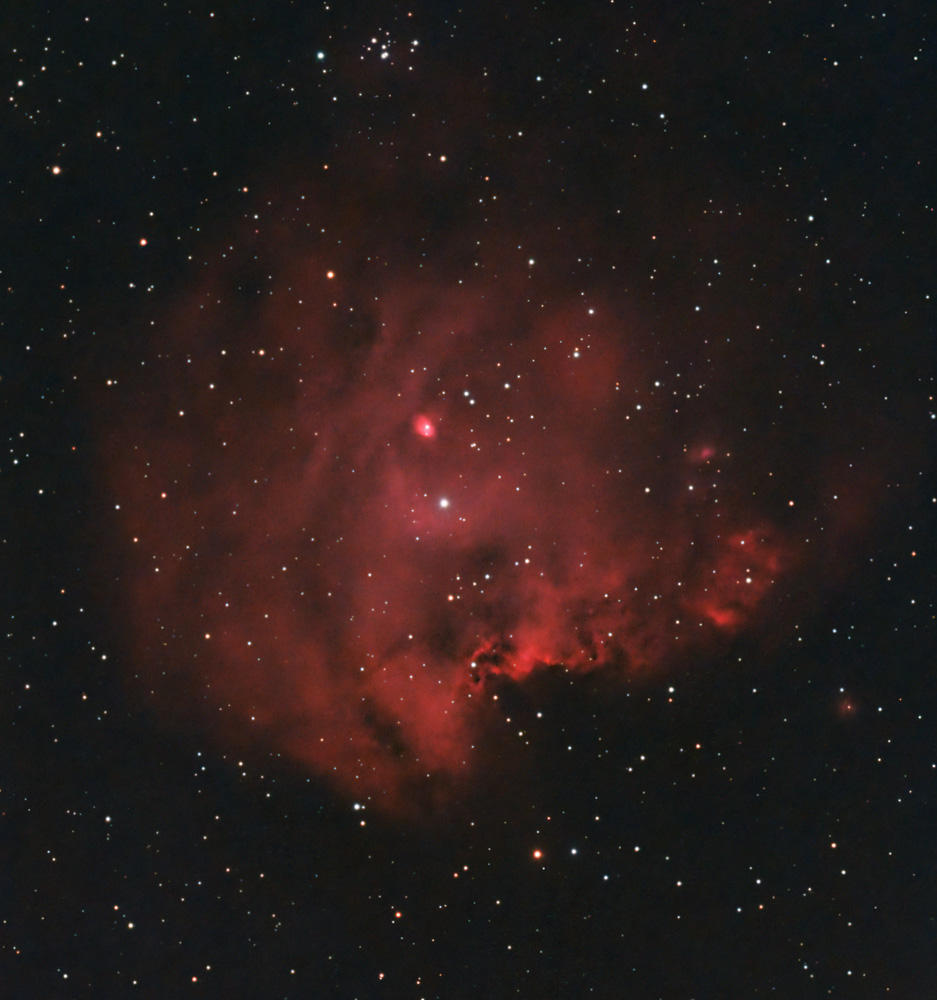 NGC2175_MonkeyHead_Seestar_20240129_dw.jpg