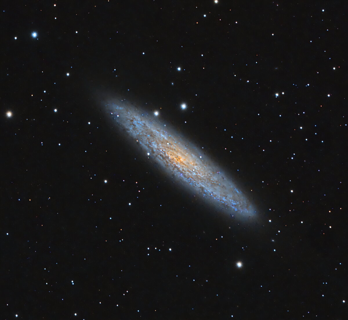 ngc253final.JPG