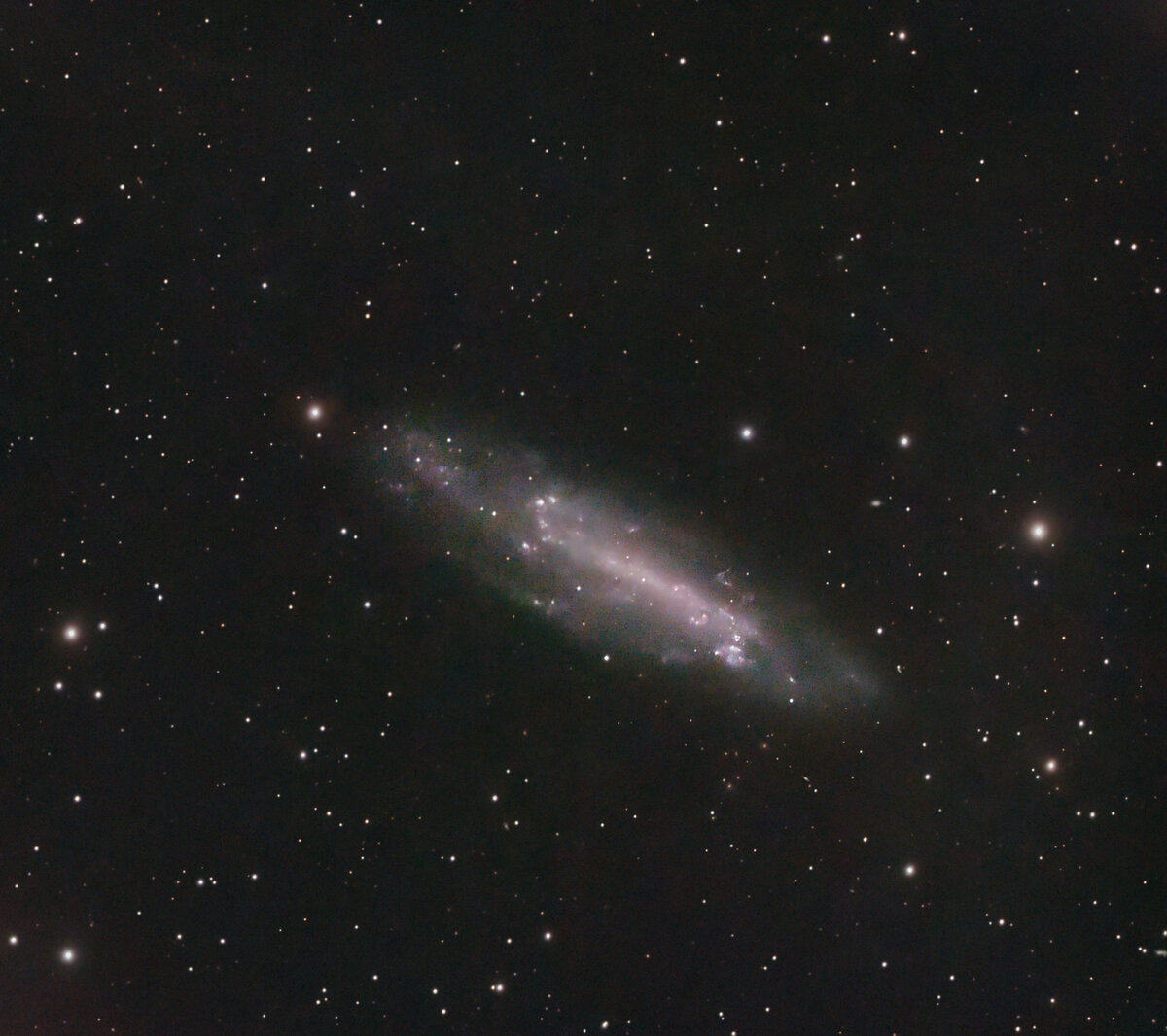 NGC4236_cropped.jpg