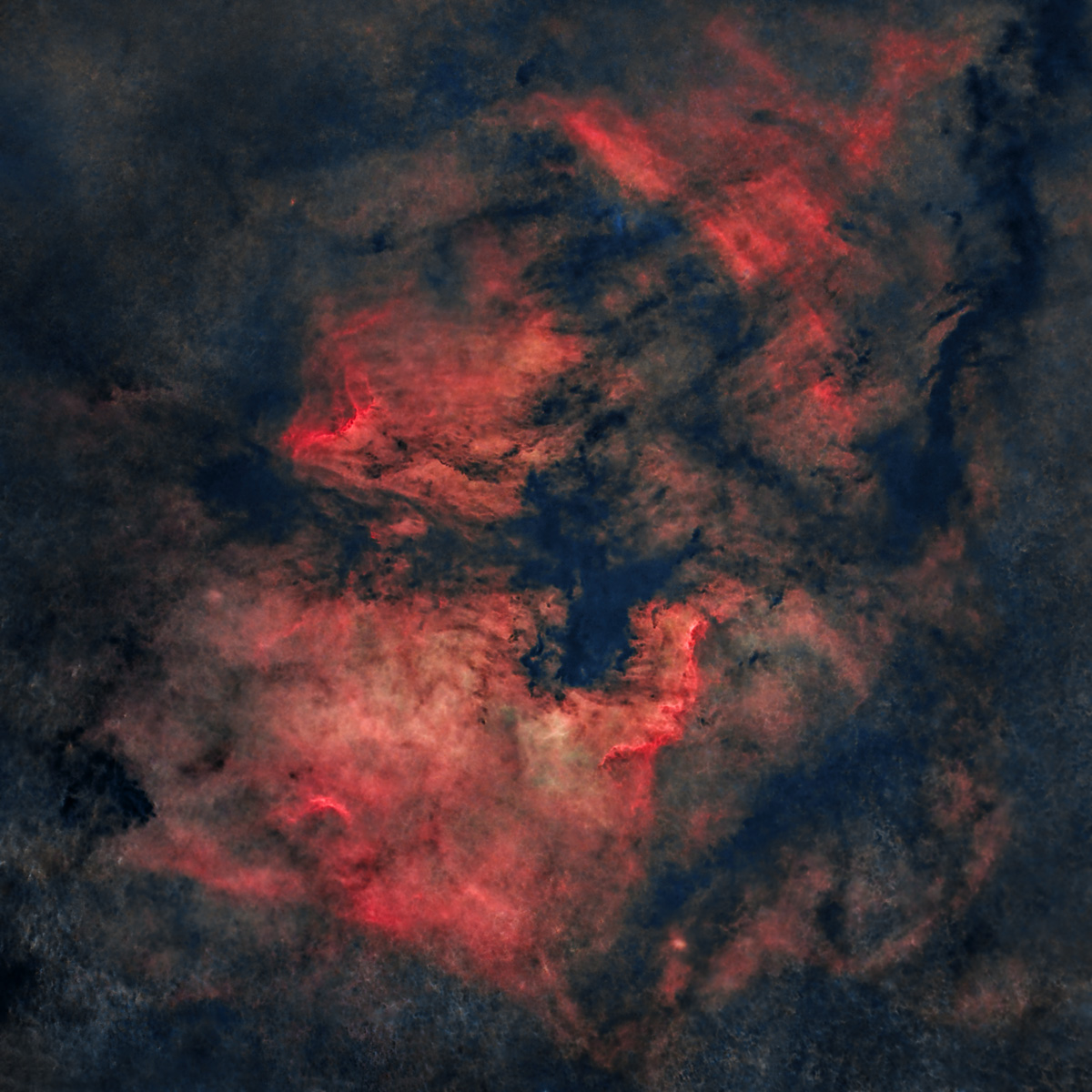 NGC7000_20230621to24_N_AmericaNeb_dw.jpg