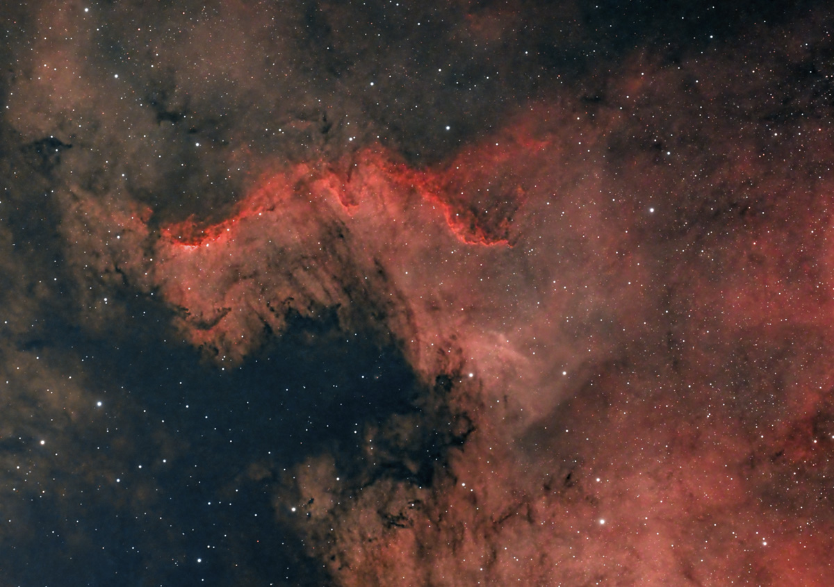 NGC7000_CygnusWall_20231030_dw.jpg