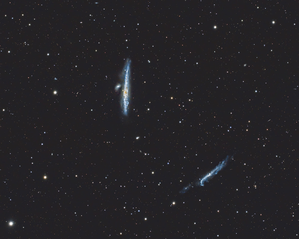 NGC_4631_dw.jpg
