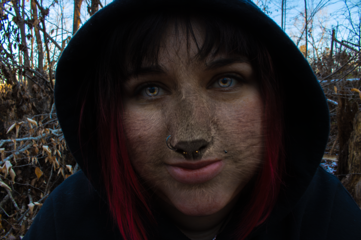 nikkicat.png