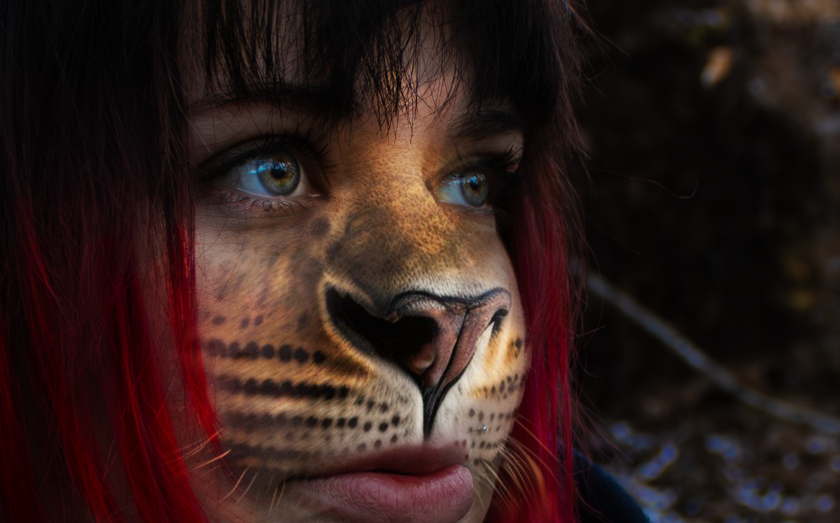 nikkicat.png