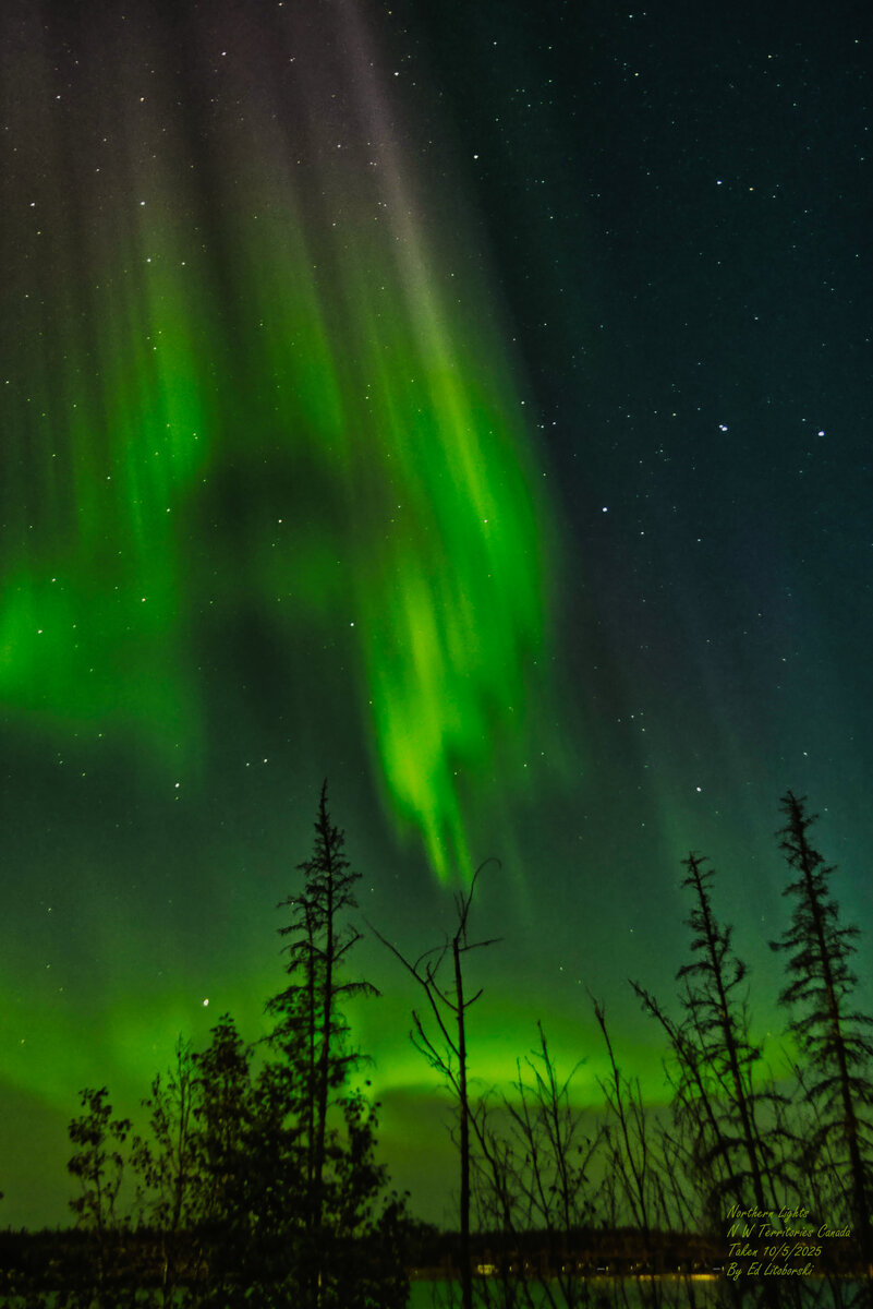 NWT_Nlights_10_25 rev3.jpg