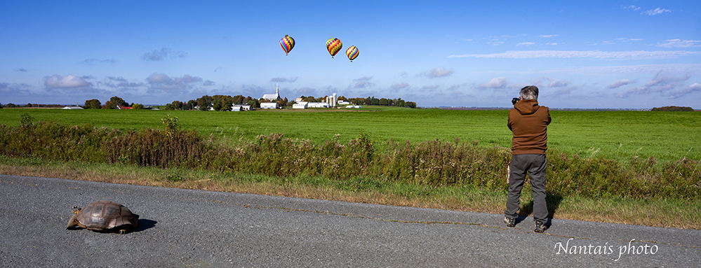 NZ2_0633s.jpg