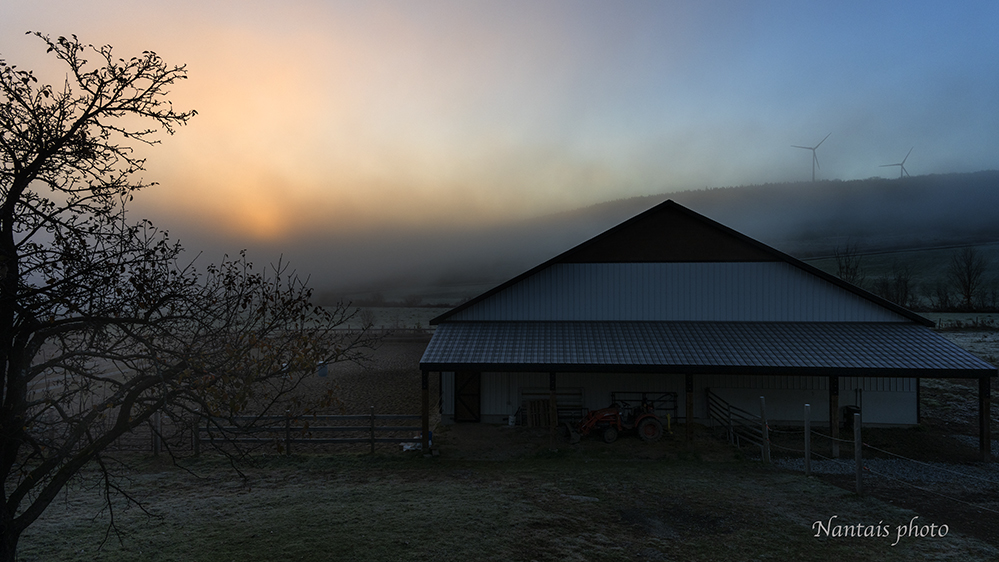 NZ2_0978s.jpg