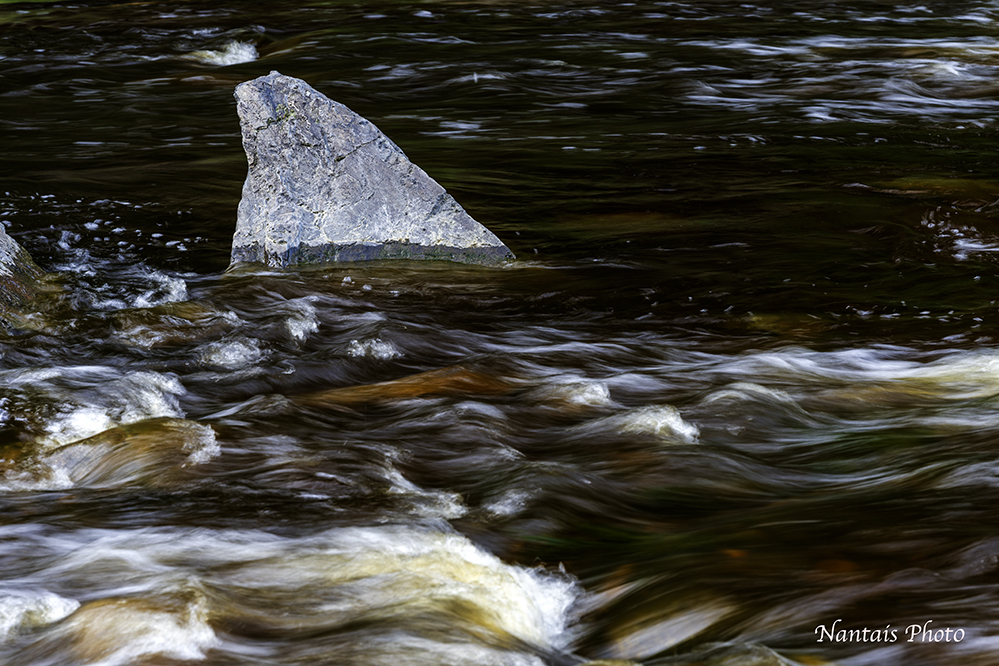 NZ2_1543s.jpg