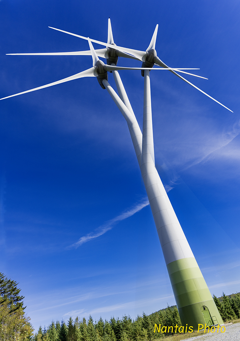 NZ2_5651s.jpg