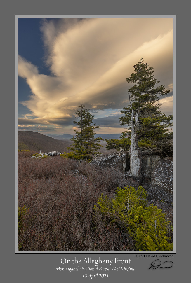 On Allegheny Front.jpg