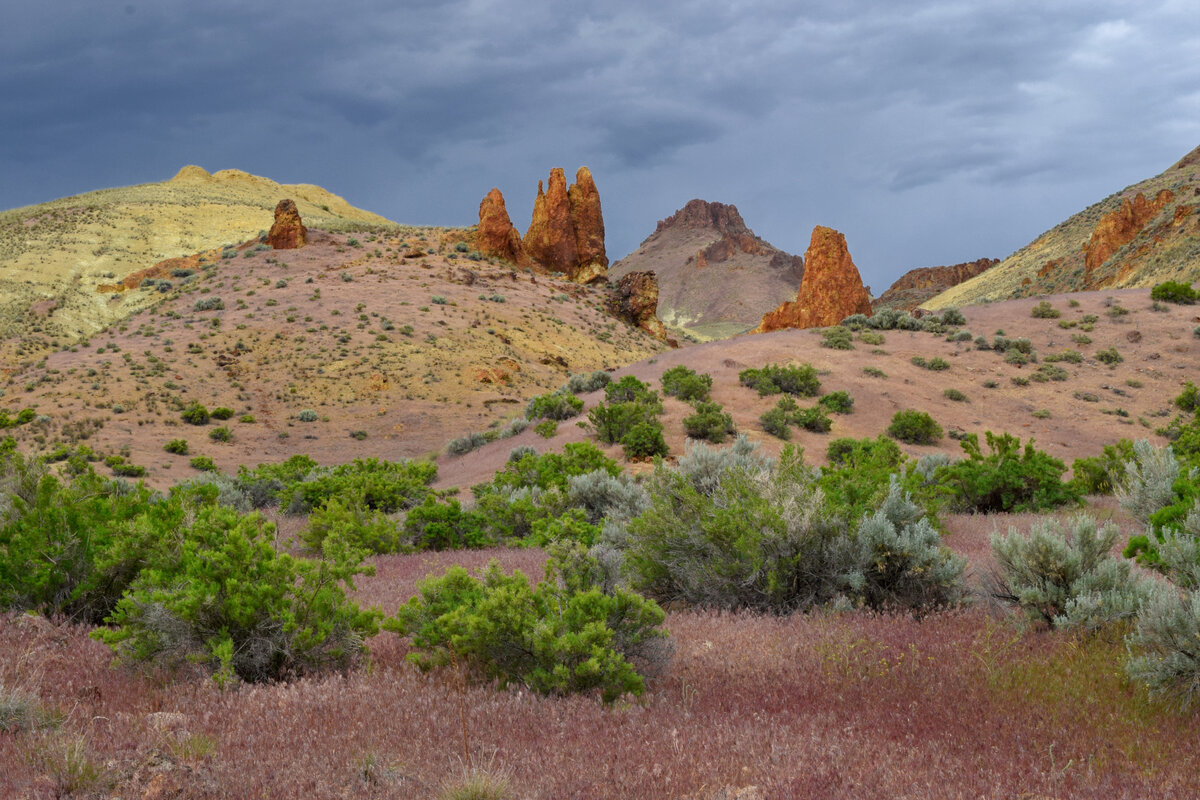 Or22-2-09_DSC7658.JPG