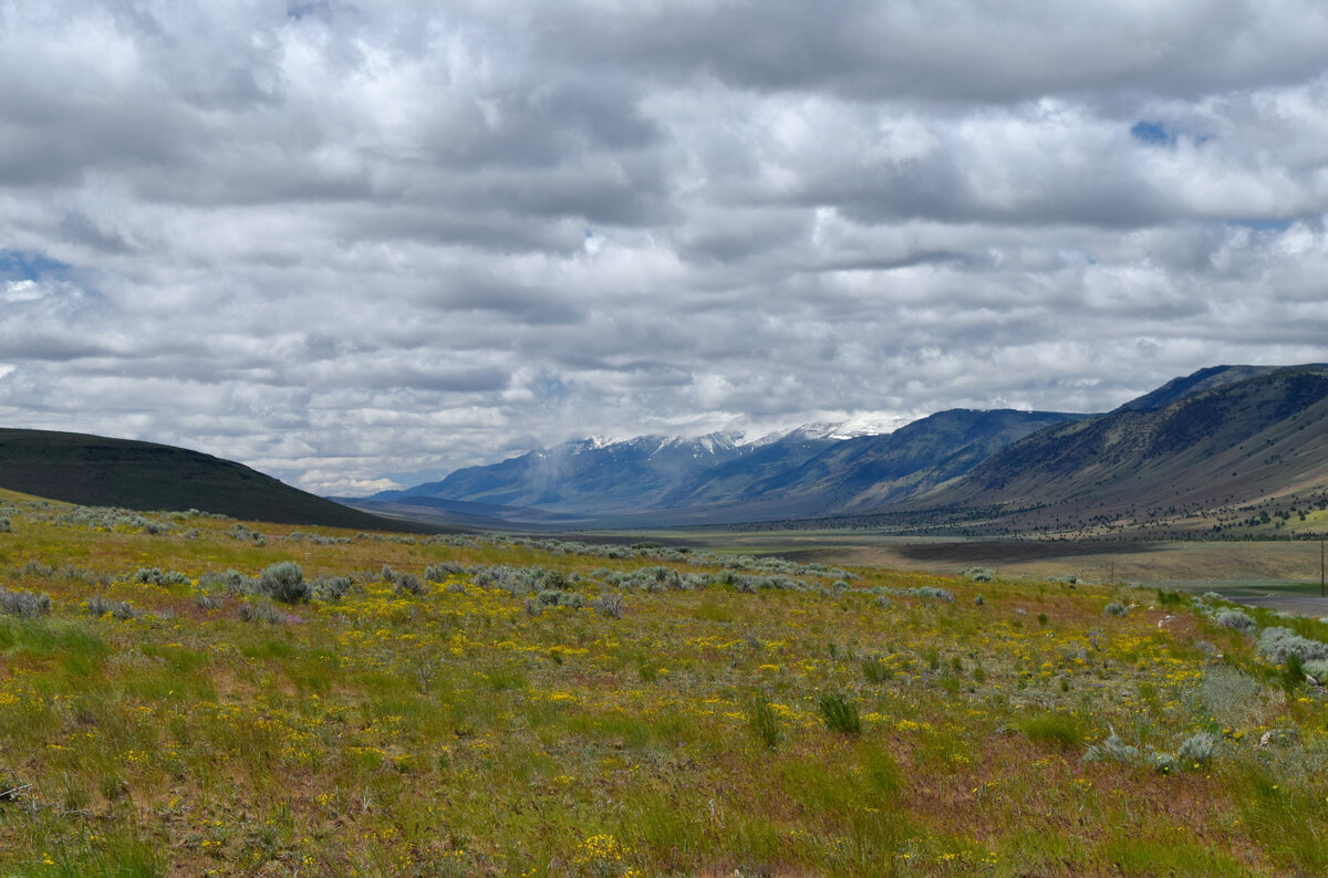 Or22-3A-06_DSC8150.JPG