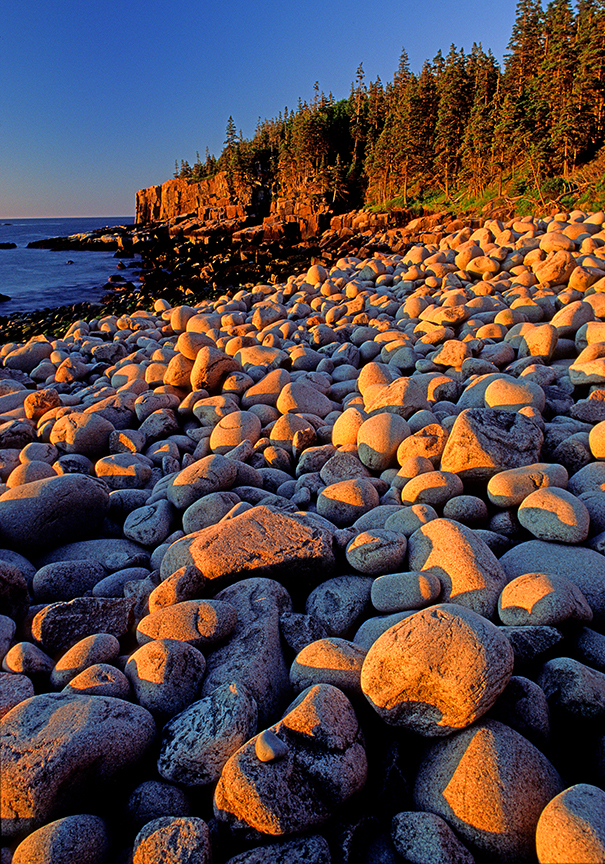 otter cliffs.jpg