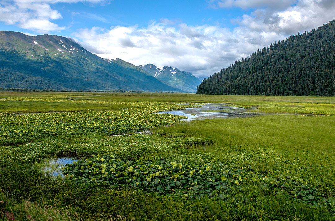 Outwash plain at the base of the  Chugach Range along Alaska Railwlay (1 of 1).jpg