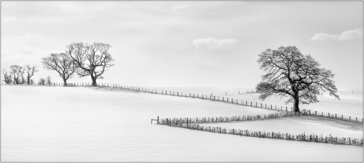 P-RennieK-Patterns in the Snow.jpg