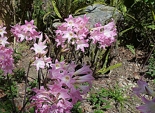 P1020137.JPG