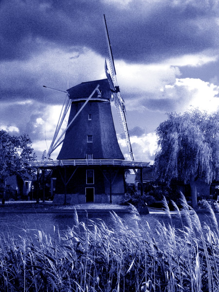P1040752_Blue.jpg