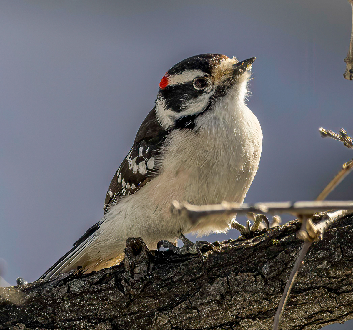 P3010326-Edit.jpg