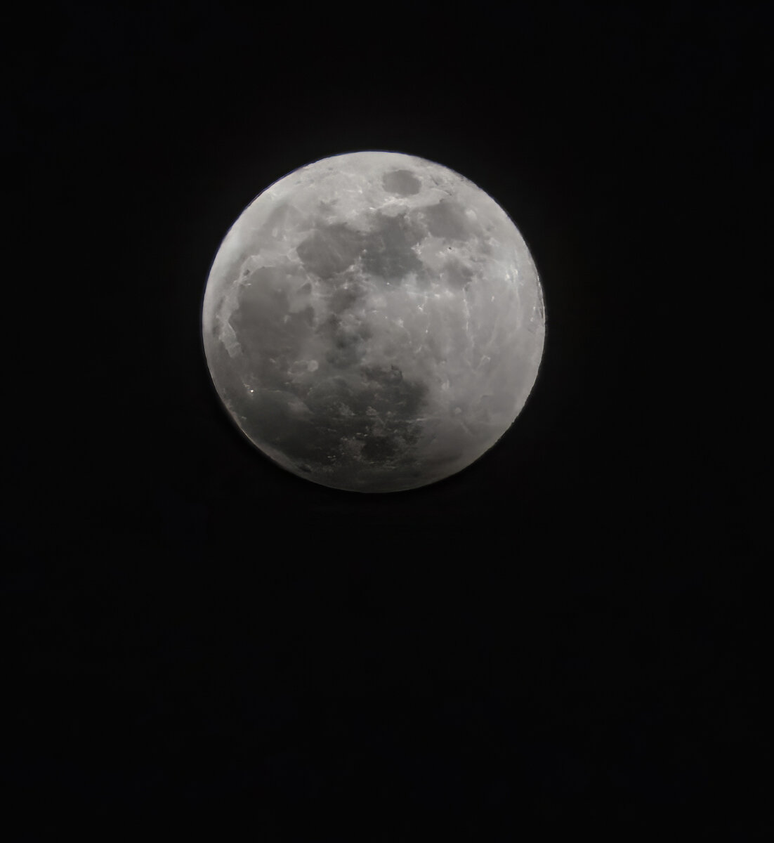 P3131298-Edit.jpg
