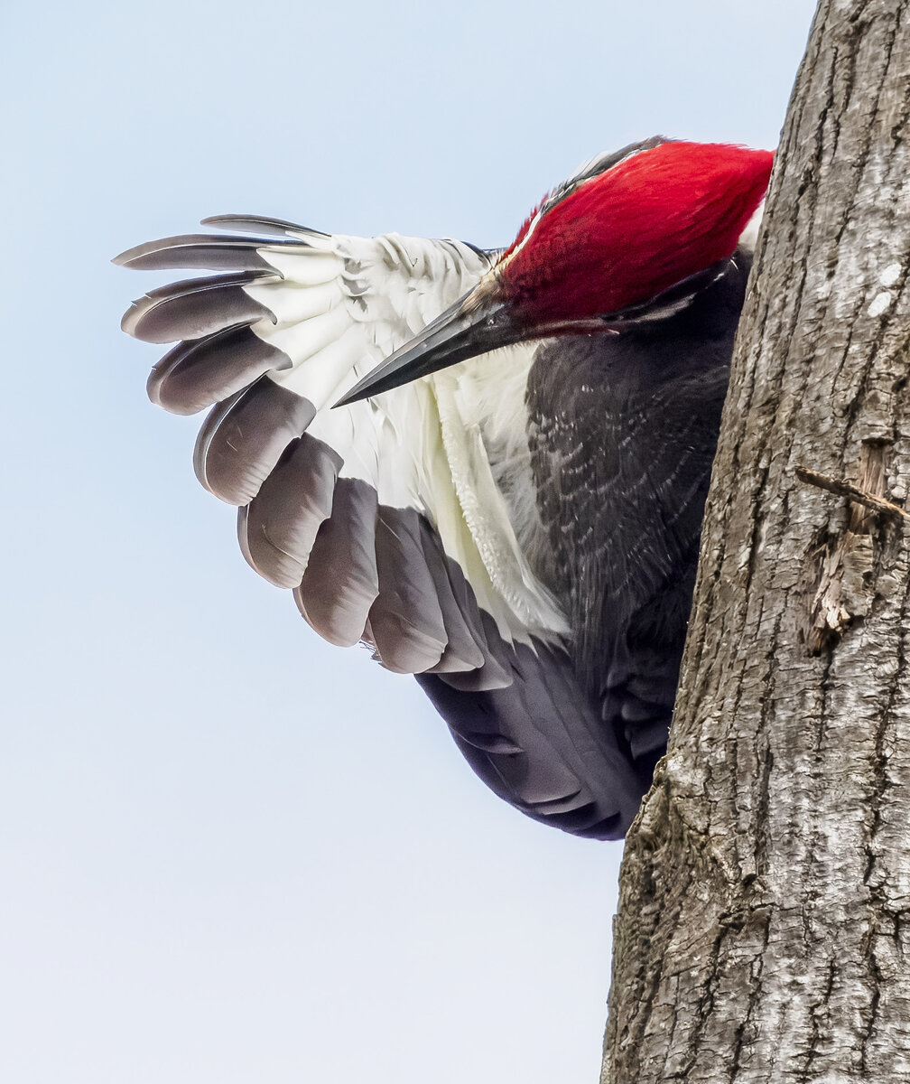 P3310437-Edit.jpg