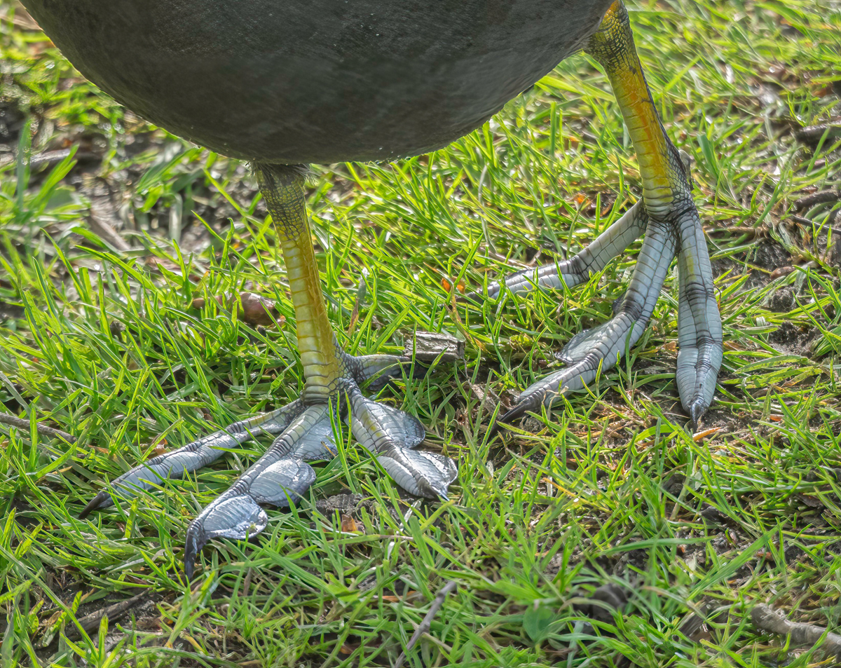 P5070113-Edit.jpg
