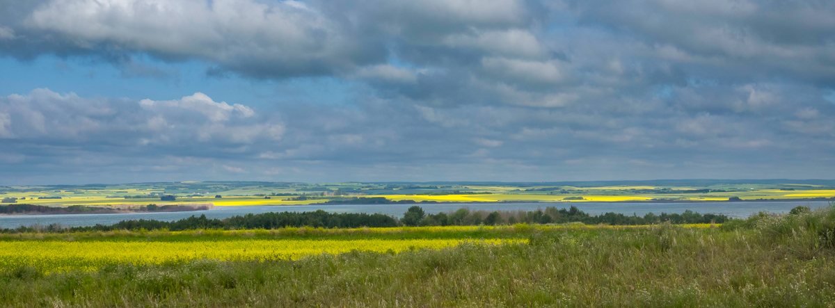 P7180127-Edit.jpg